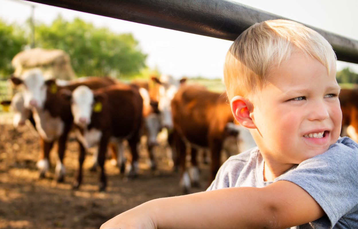 boy in front of camera with cattle at Texas Beef ranch